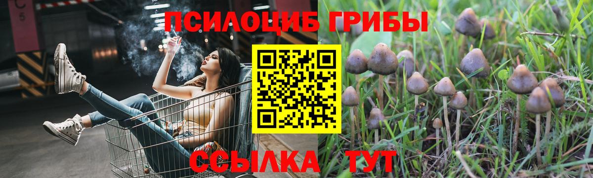 Псилоцибиновые грибы MAGIC MUSHROOMS Белово