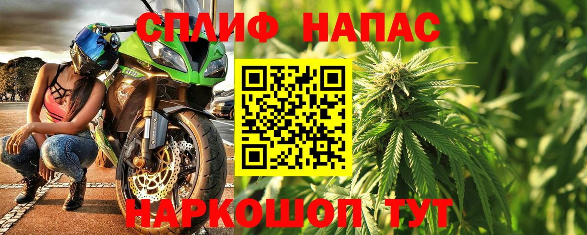 Бошки марихуана ГИДРОПОН  Конопля OG Kush  Шишки марихуана сатива  Белово  Каннабис семена  Вход с VPN 